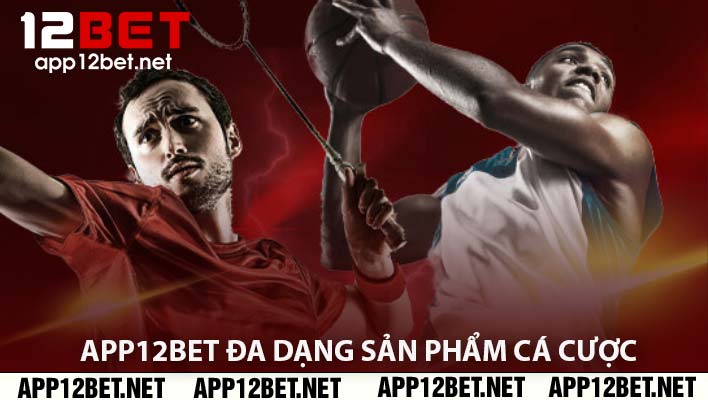 App12Bet đa dạng sản phẩm cá cược